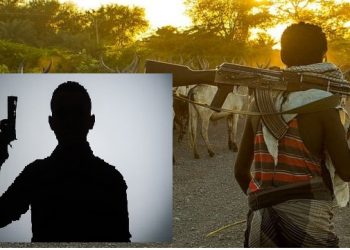 Herdsmen, armed robbers  take over Abia roads