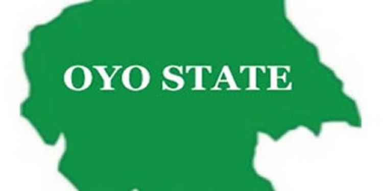 7 killed as Amotekun, herdsmen clash in Oyo