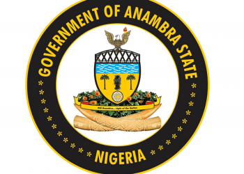 Anambra Govt appoints new  Commissioner for culture,  tourism and diaspora