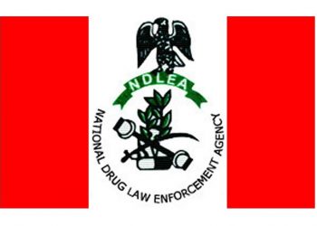 Govt appointees, security agents,  undergraduates to undergo drug test  – NDLEA Boss