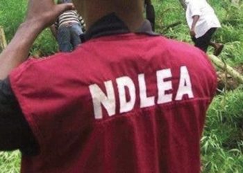 Anambra NDLEA seeks  partnership to tackle illicit  drug trafficking