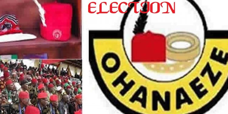 Ohanaeze election: Obiozor’s emergence and the survival of group