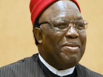 Igbo facing existential threat in Nigeria, says Obiozor