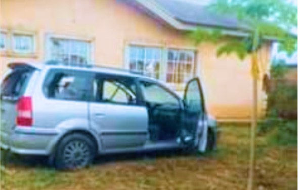 Police must find killers of my grand-son, cries Mama Stella Aguguo