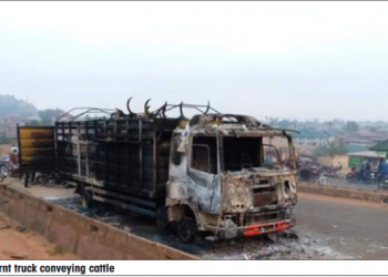 Angry mob set truck ablaze for allegedly crushing boy