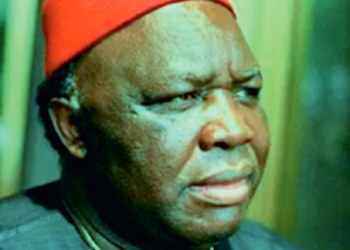 Ohanaeze Ndigbo: Should Obiozor be judged by his acceptance speech?