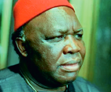 Ohanaeze Ndigbo: Should Obiozor be judged by his acceptance speech?