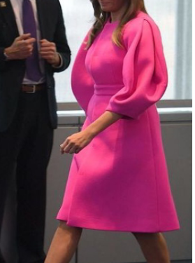 Iconic looks of Melania Trump during her time as US First Lady