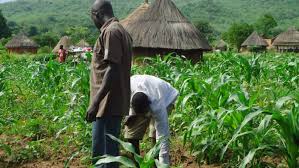Imo people advised to embrace farming to cushion poverty