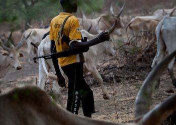 Unending Fulani herders menace  and threat to national unity