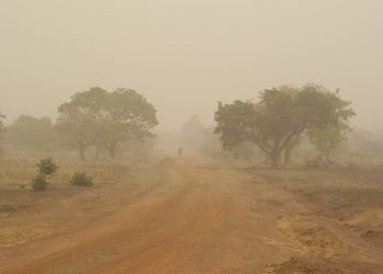 Where is the harmattan hibernating?