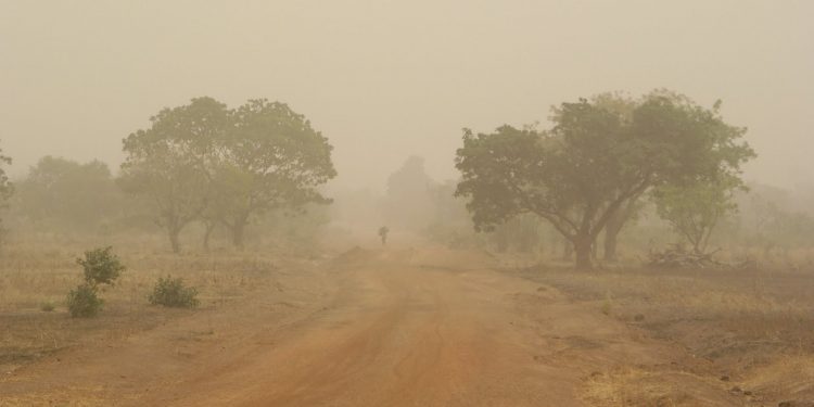 Where is the harmattan hibernating?