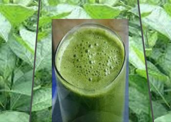 The health benefits of bitter leaf