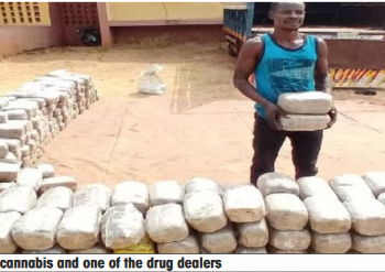 NDLEA uncovers cannabis warehouse, intercepts truckload in Benue
