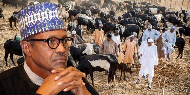Herders’ distraction, FG’s body language, recipe for war