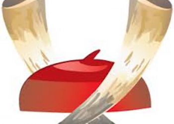 Igbos in Europe support Presidency – Coordinator