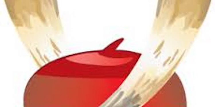 Igbos in Europe support Presidency – Coordinator