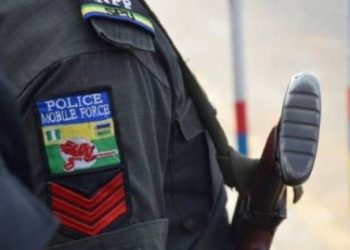 Police arrest gay members during party in Anambra