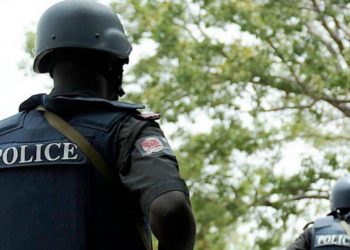 Delta Police rounds up syndicate of kidnappers, ritual-men,  recover skull, human parts