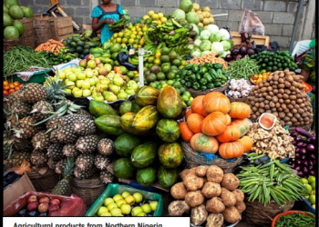 Food blockade:   Blessing in disguise  for Ndigbo