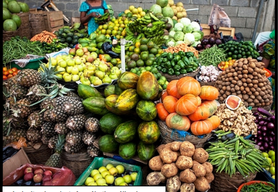 Food blockade:   Blessing in disguise  for Ndigbo