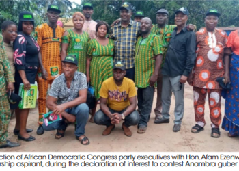 Afamation joins Anambra governorship race, on ADC party