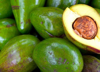 Wonders of avocado pear
