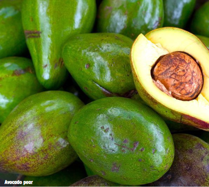 Wonders of avocado pear