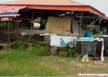 Imo Malaysian, Orie Ugba markets reason Ubani market is depopulated and de-marketed