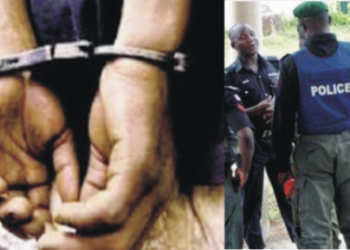 Vigilante group apprehends drug peddlers, rapist in Port Harcourt