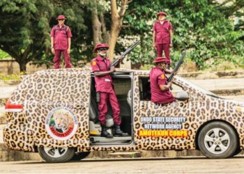 Ebubeagu, Amotekun and the confusion of meaning