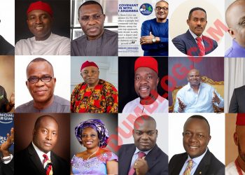 Anambra gov poll: I will win primary election – Nwankpo