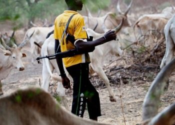 Ohaji communities lament Fulani herdsmen attack, call for help