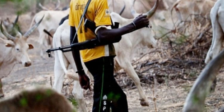 Ohaji communities lament Fulani herdsmen attack, call for help