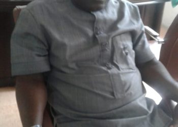 Oguta is peaceful – local govt boss