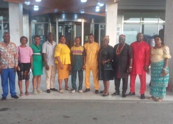 COCIR advises South East governors on Igbo agenda, security