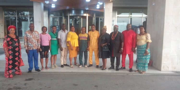 COCIR advises South East governors on Igbo agenda, security