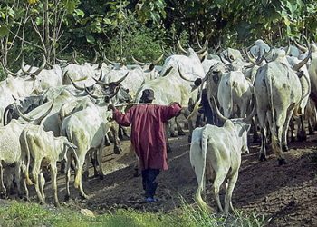 Fulani herdsmen: Igbo youths caution Umahi, Ugwuanyi