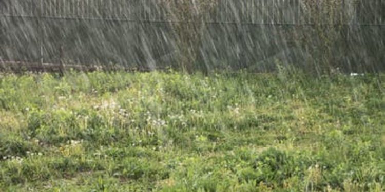 Abia farmers worry over changes in rainfall pattern