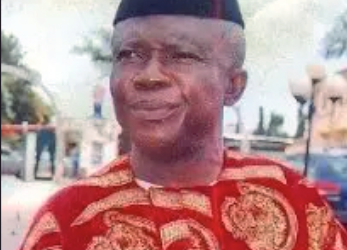 Igbo have  largest stake in Nigeria -Ibegbu