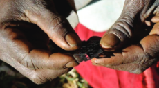 Over 150 Imo communities abandon female circumcision