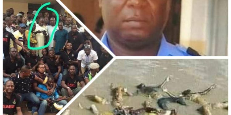 Awkuzu massacre: pictures are false, misleading says Anambra Govt