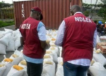 Anambra: NDLEA seizes over 300kg of illicit drugs