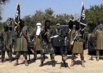 Boko haram, killer herdsmen, bandits are Islamisation agents of FG – Maduwuike