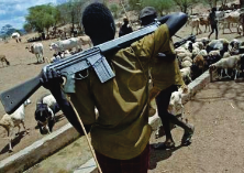 Curbing menace of Fulani herdsmen on South East farmers, residents