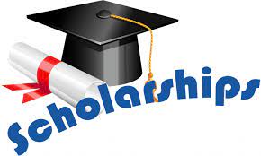 Uzodimma scholarship grant opens application portal