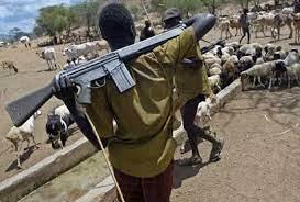 Armed herdsmen as harbingers  of anarchy