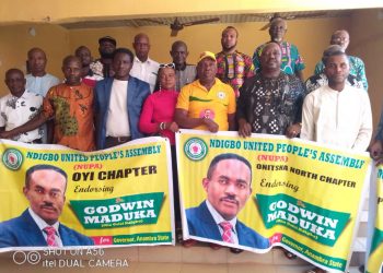 NUPA calls on Maduka to contest Anambra governorship election