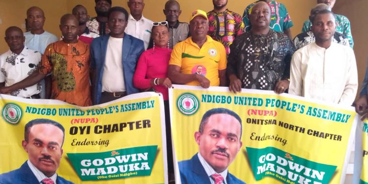 NUPA calls on Maduka to contest Anambra governorship election