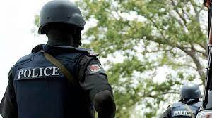 Lynching of youths: Imo Assembly compels police to fish out killers